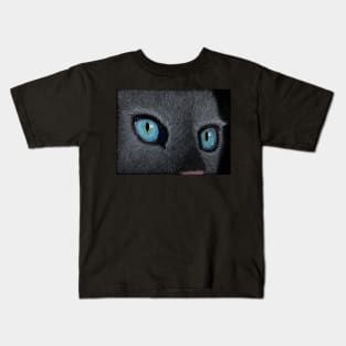 Blue eyed grey cat Kids T-Shirt